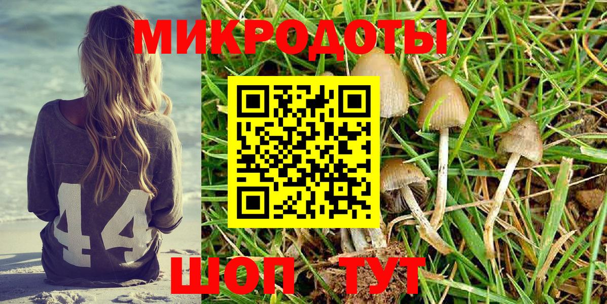 Губаха  Галлюциногенные грибы Psilocybine cubensis  Галлюциногенные грибы ЛСД  Вход с VPN 